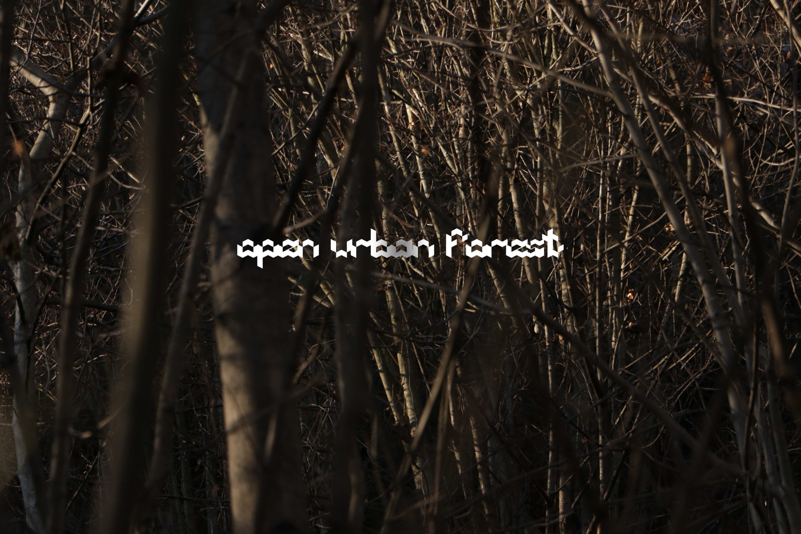 Reset ! - Member : ssesi.space - Open Urban Forest - photos from ssesi.space premisses 