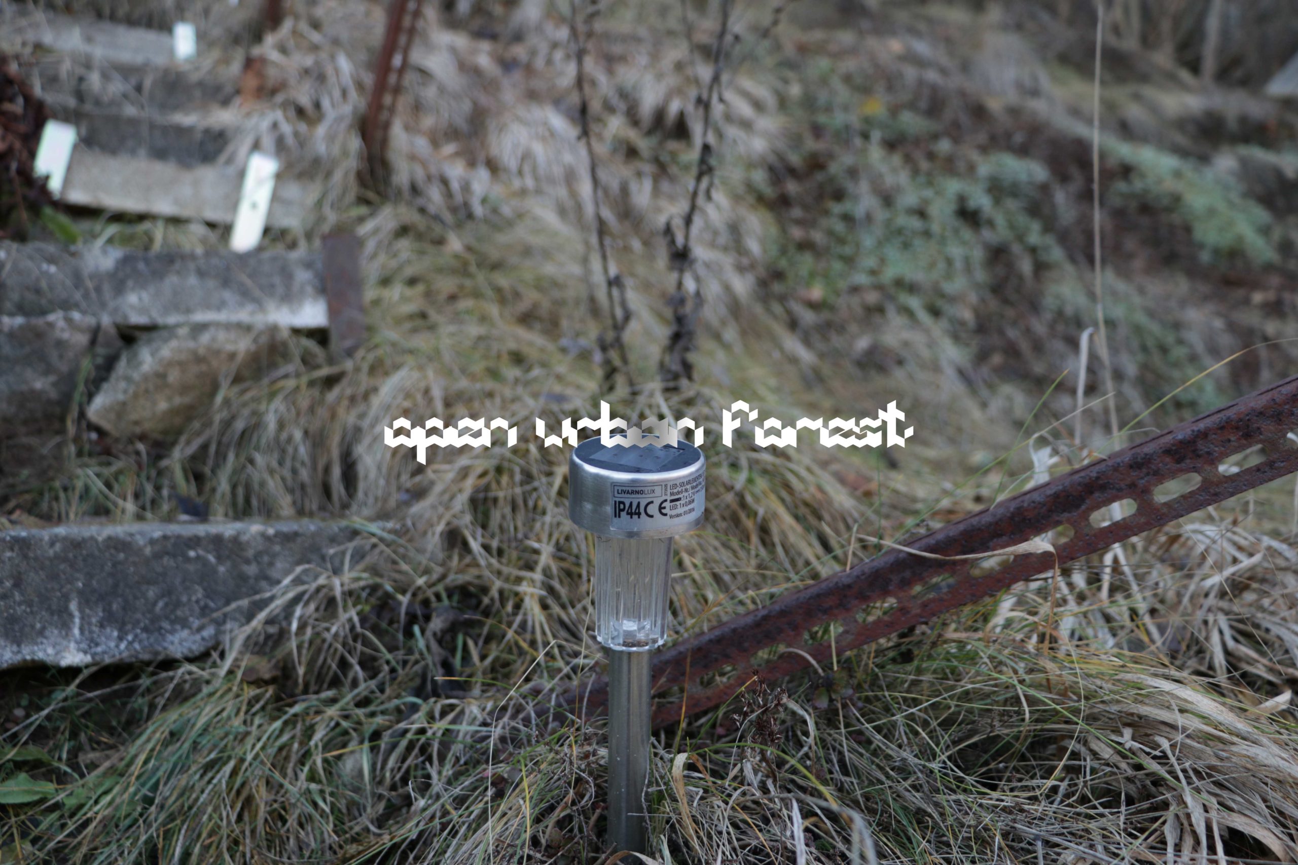 Reset ! - Member : ssesi.space - Open Urban Forest - photos from ssesi.space premisses 