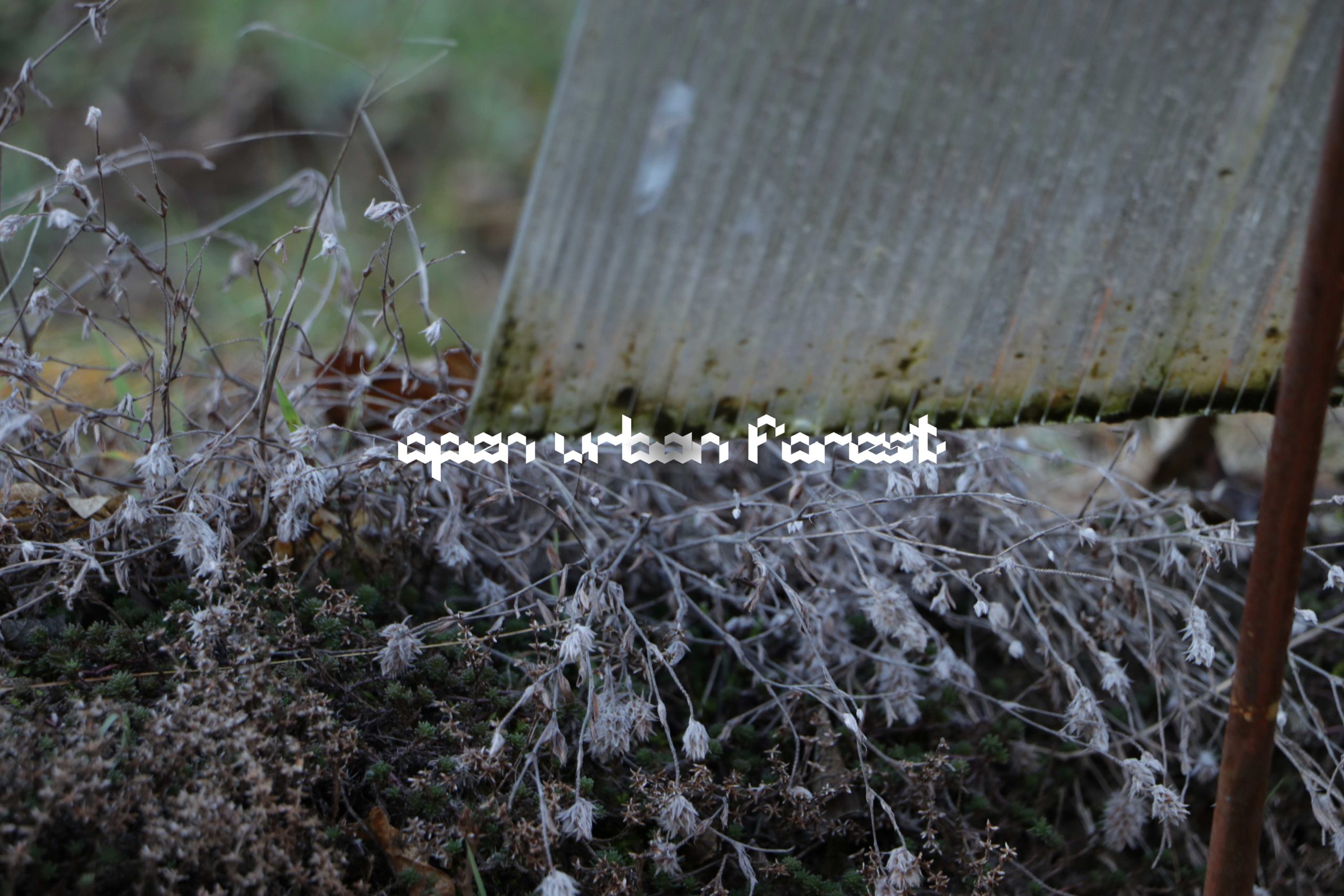 Reset ! - Member : ssesi.space - Open Urban Forest - photos from ssesi.space premisses 